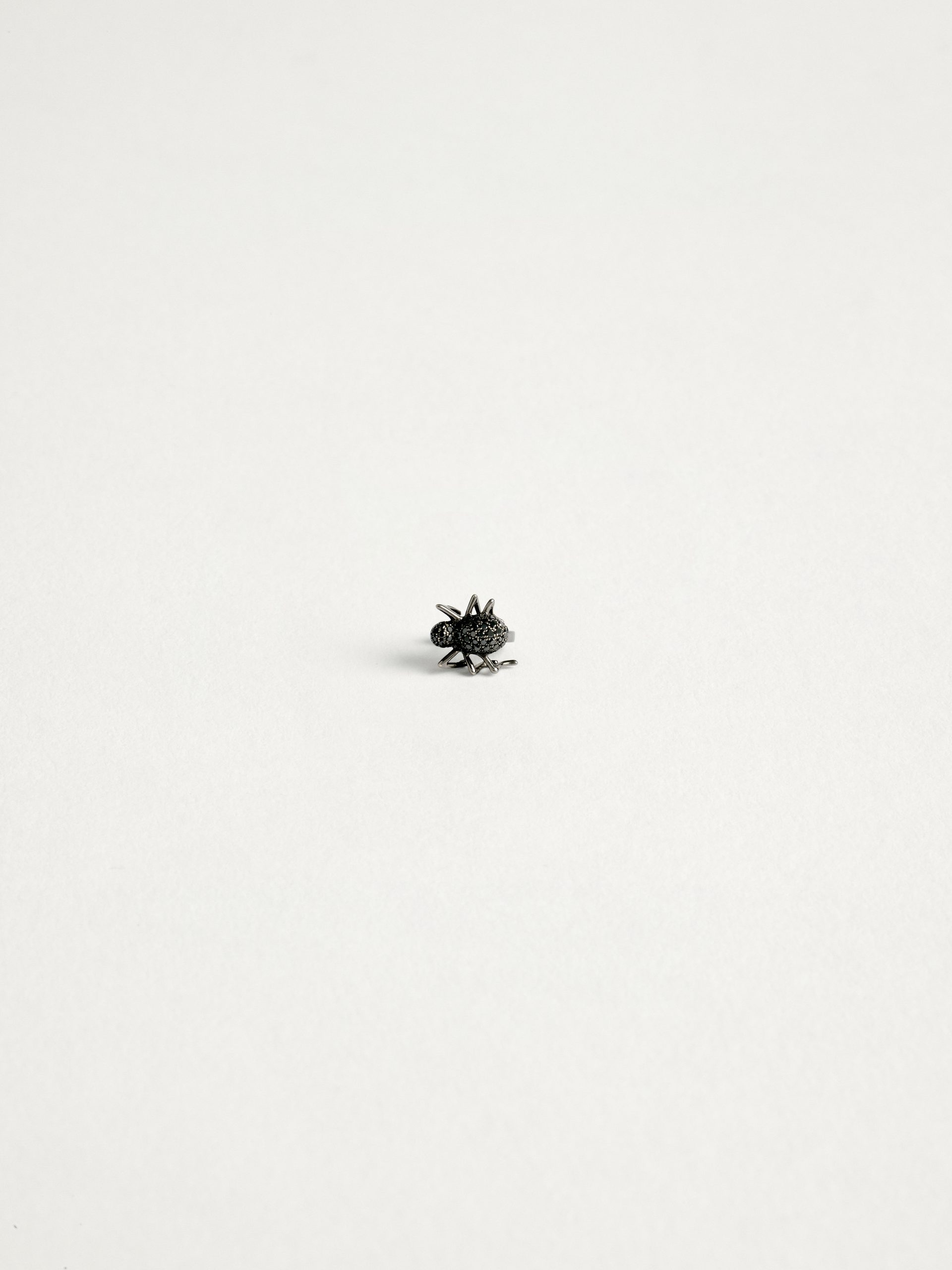20240205_TheDrays_0140 Boucle d'oreilles