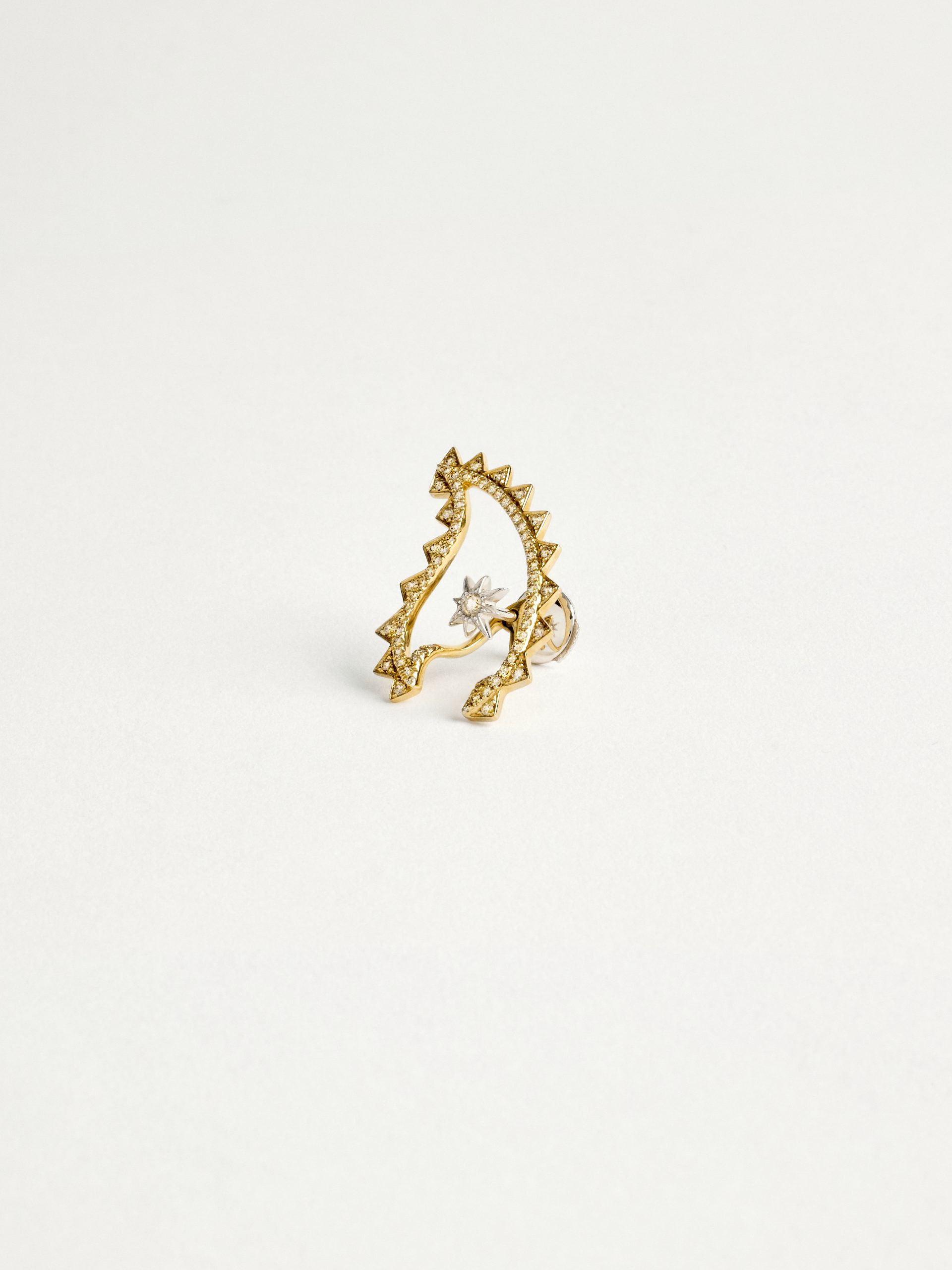 20240205_TheDrays_0212 Boucles d'oreilles diamant et or