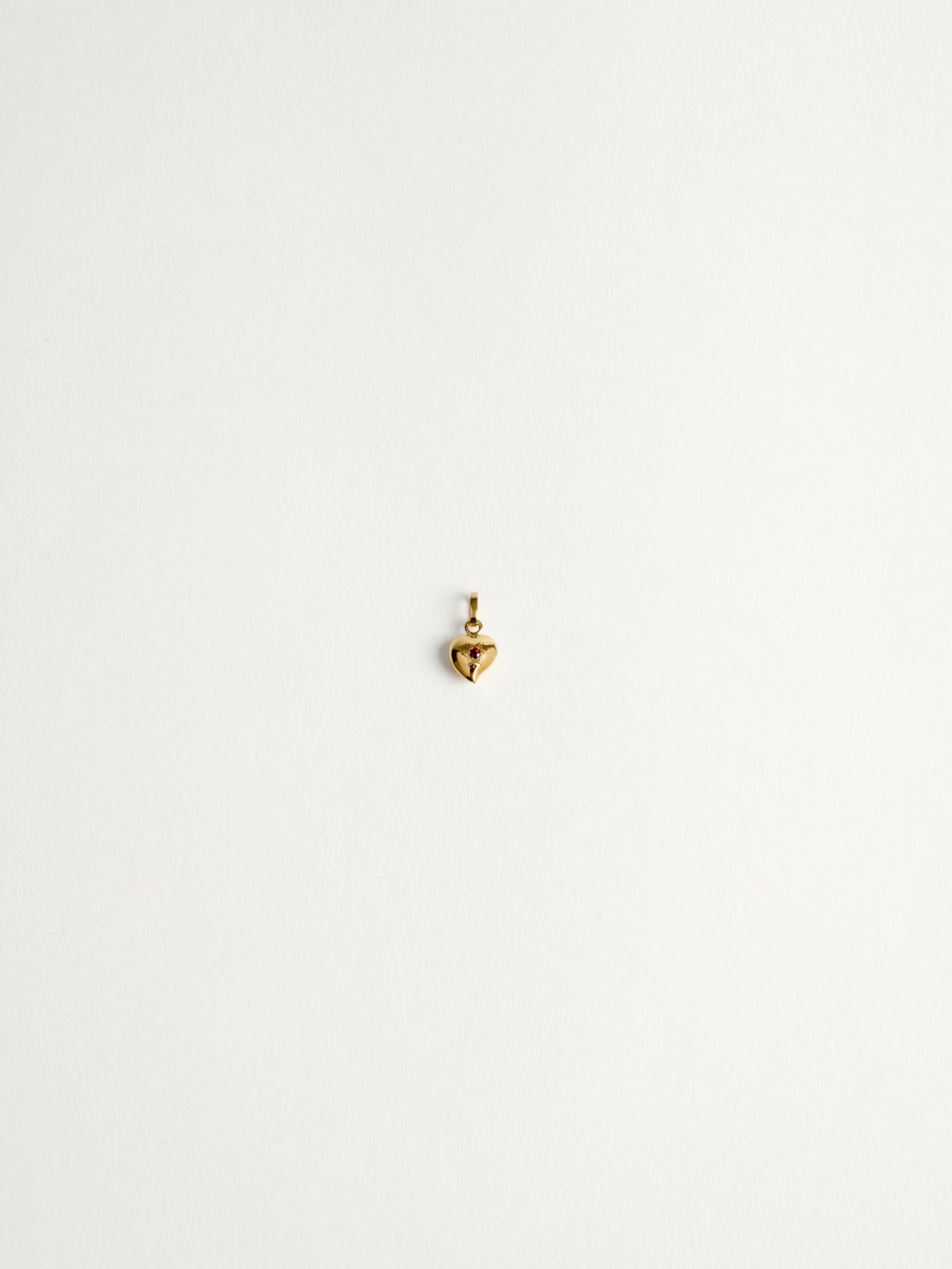 20240205_TheDrays_0310 Pendentif rubis en or jaune étoile | The Drays