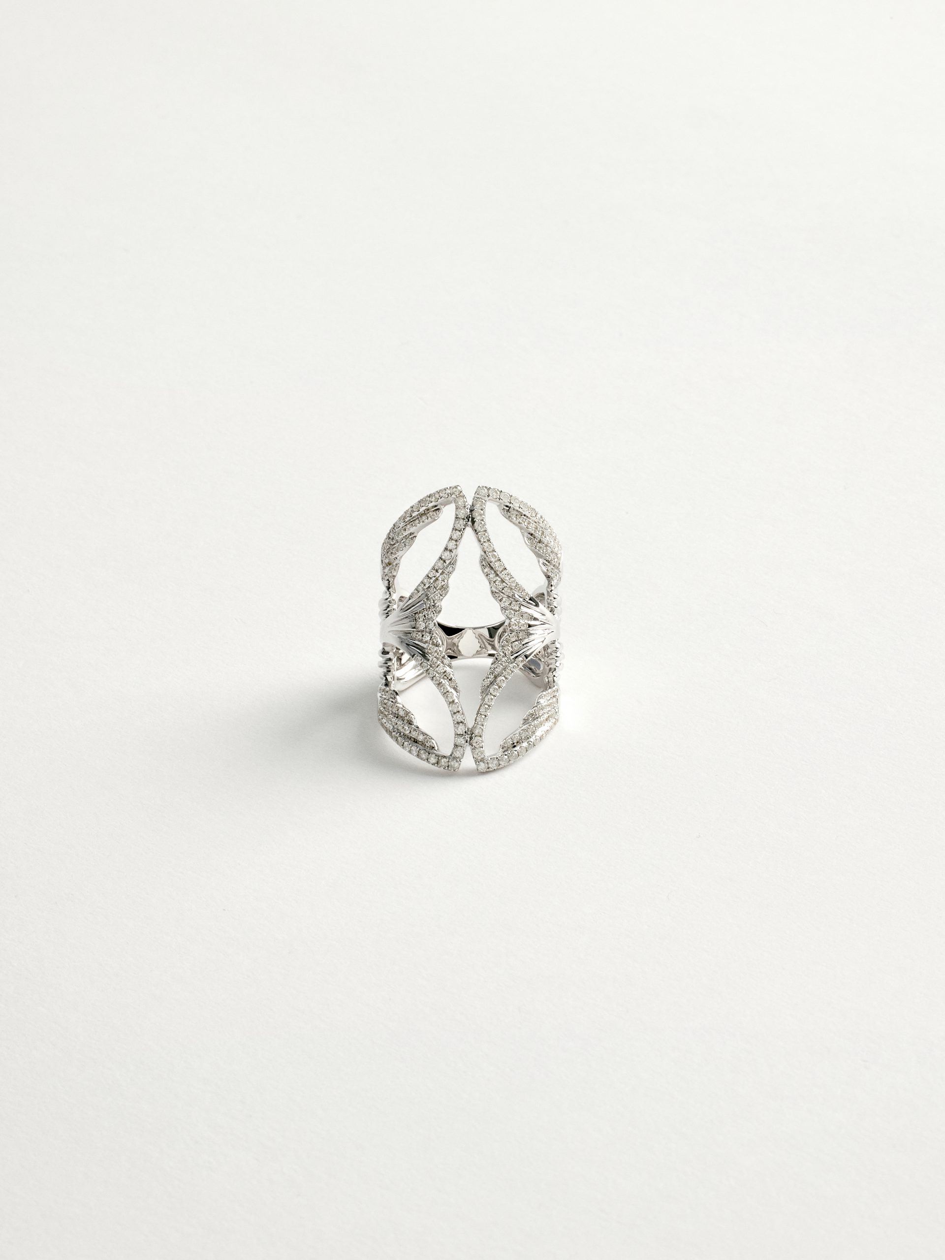 20240205_TheDrays_0432 Bague diamant en or blanc entre ciel et terre | The Drays