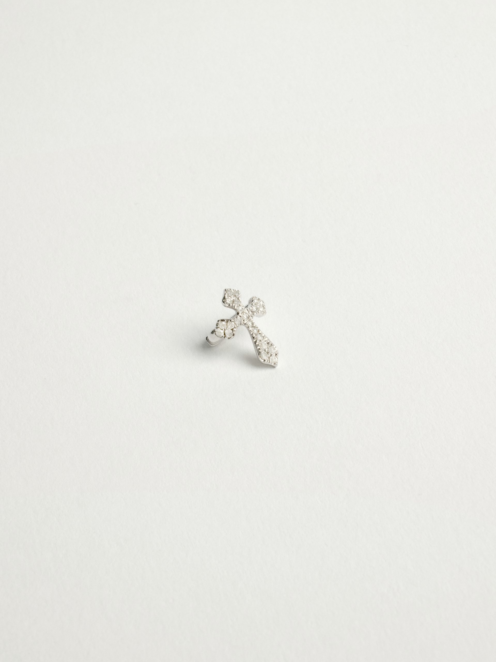 20240604_TheDrays30385 Boucle d'oreille
